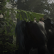 Image for article titled I Think My Horse In Red Dead Online Is Pooping Too Much